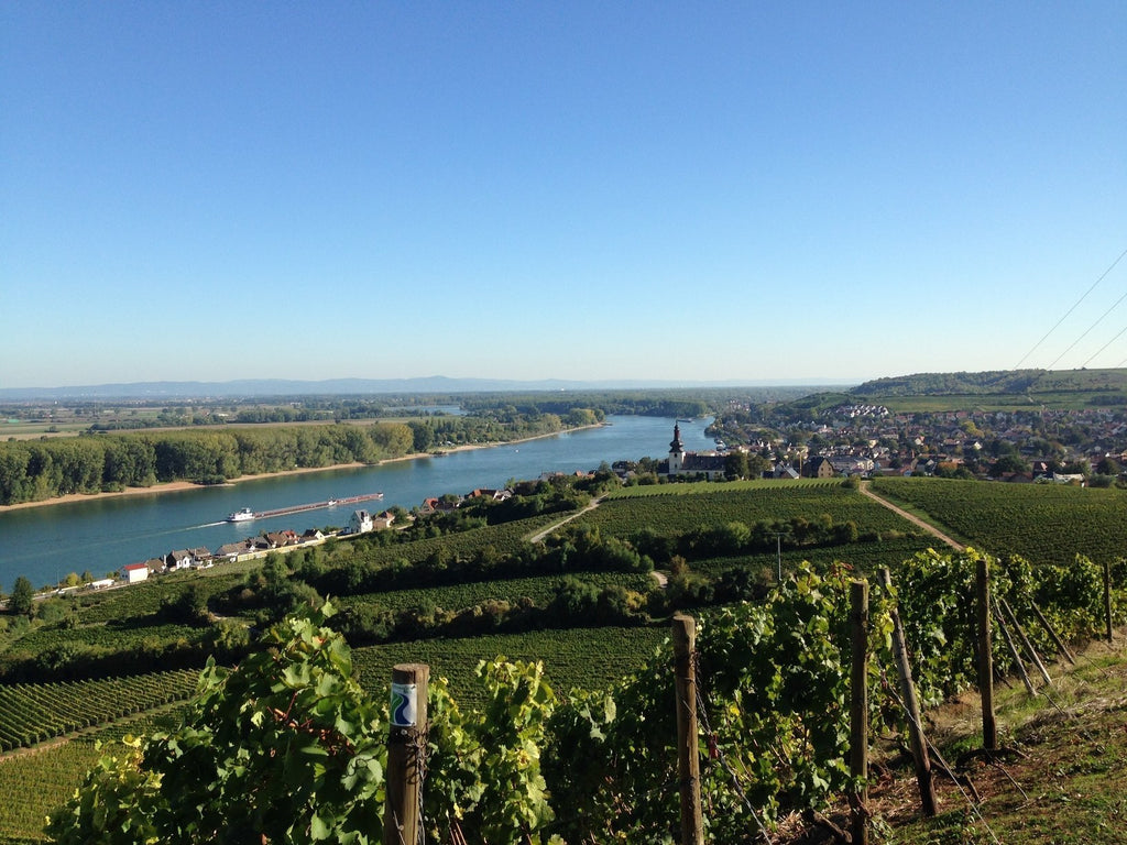 Gröhl, Roter Hang Riesling