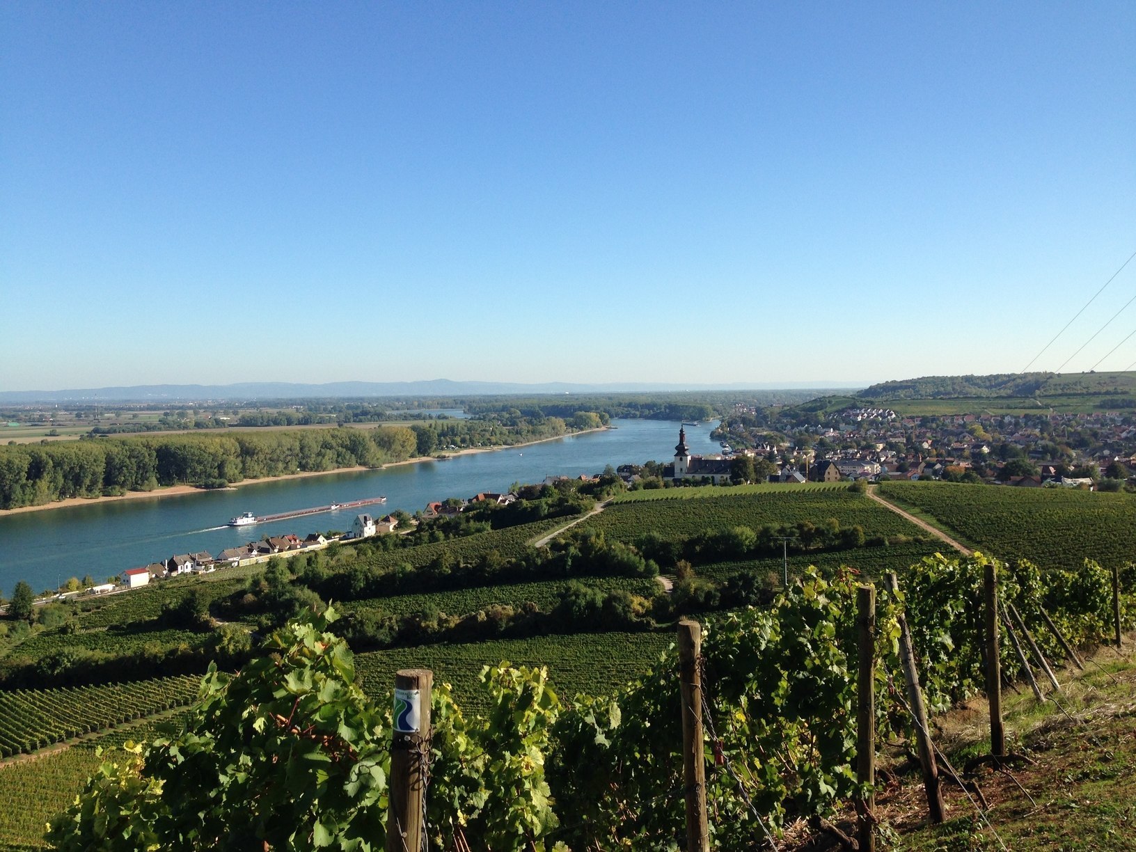 Gröhl, Roter Hang Riesling